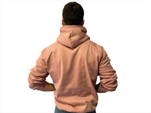 HOODIE PALO DE ROSA - Imagen 4
